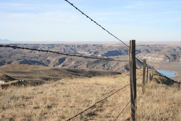 Scenery-Fence