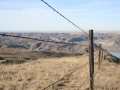 Scenery-Fence